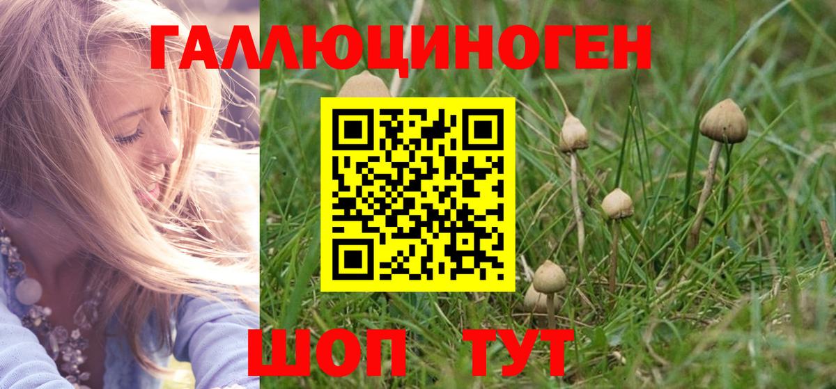 что такое   Псилоцибиновые грибы MAGIC MUSHROOMS  Вход с VPN  Гусиноозёрск  Псилоцибиновые грибы Magic Shrooms 